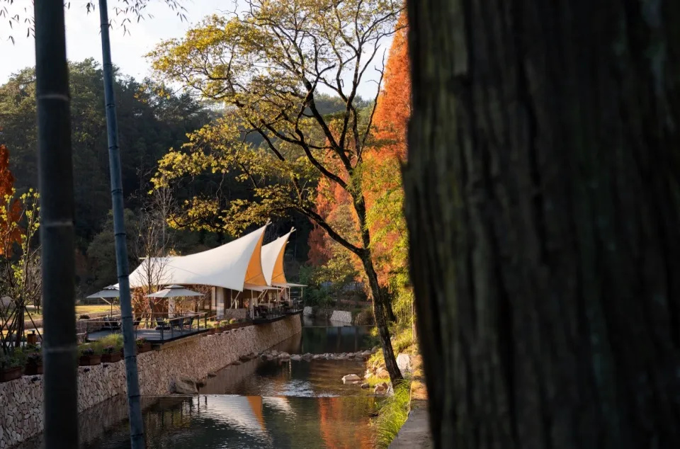 精品野奢養(yǎng)生度假 二都國家森林帳篷酒店裝修設(shè)計(圖1) 640_wx_fmt=jpeg&from=appmsg&tp=webp&wxfrom=5&wx_lazy=1&wx_co=1 (1).jpg